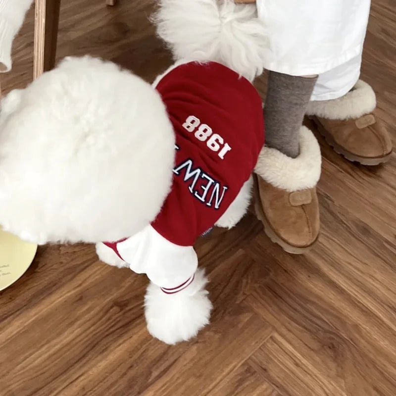 PetLuxe™ Varsity Baseball Jacket – Classic Sporty Winter Coat for Small & Medium Pets