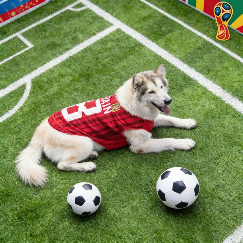 PetLuxe™ World Cup National Team Jersey – Quick-Dry Mesh Soccer Shirt for Dogs & Cats