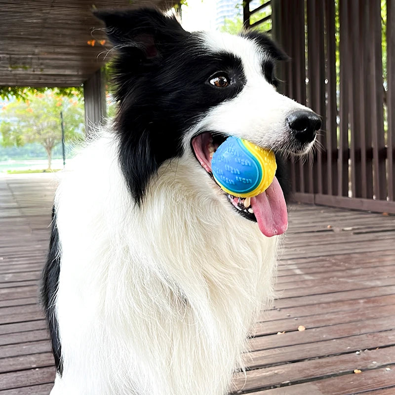 PetLuxe™ Squeaky Dental Ball – Soft TPR Bite-Resistant Interactive Toy