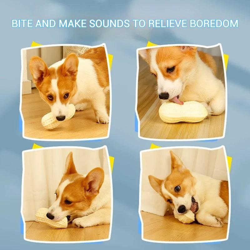 PetLuxe™ Milk-Scented Peanut Chew – Interactive Squeaky Dental Toy for Dogs