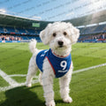 PetLuxe™ Football Star Jersey – Breathable Summer Vest for Small Dogs & Cats
