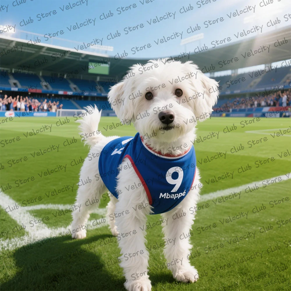 PetLuxe™ Football Star Jersey – Breathable Summer Vest for Small Dogs & Cats