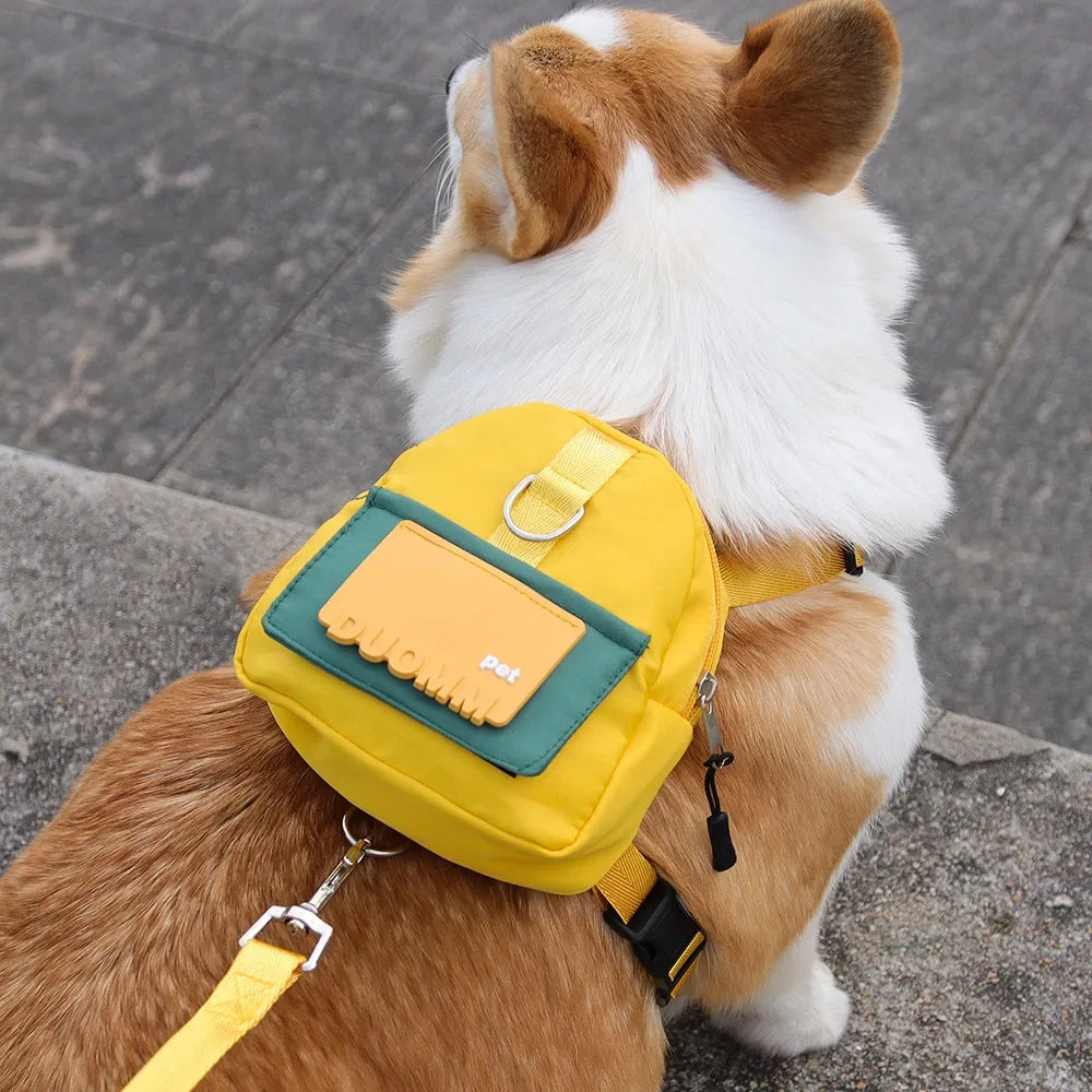 PetLuxe™ Adventure Snack Backpack & Adjustable Safety Harness