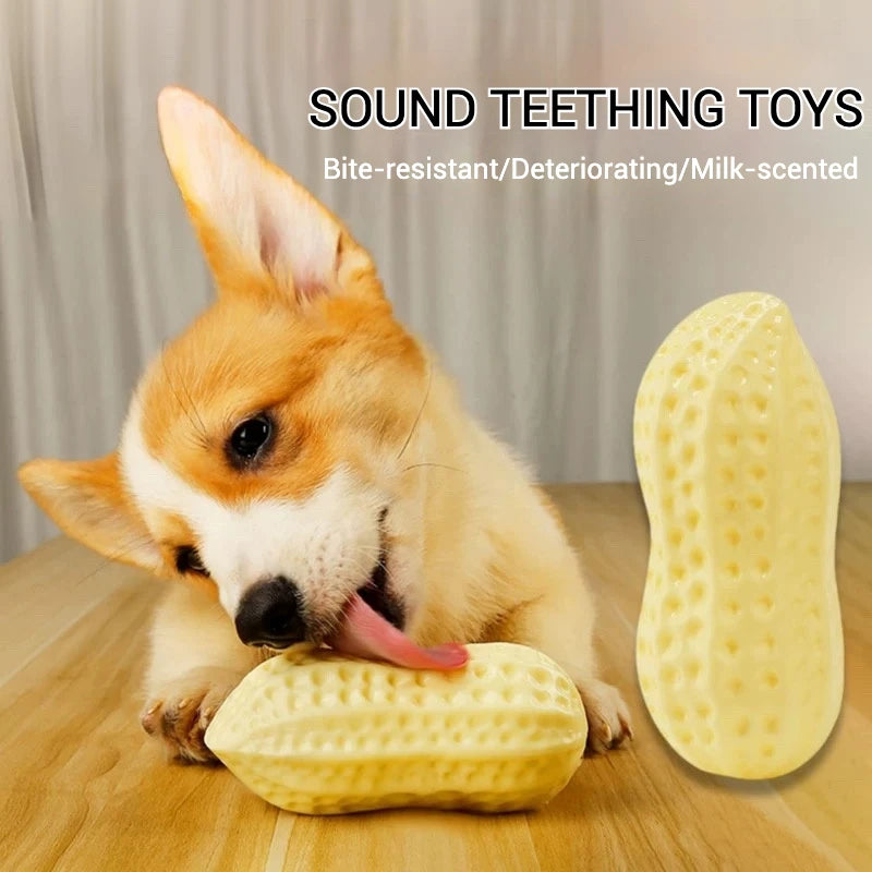 PetLuxe™ Milk-Scented Peanut Chew – Interactive Squeaky Dental Toy for Dogs